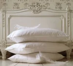 Set 2 Perne puf de gâscă 50x70cm Pucioasa