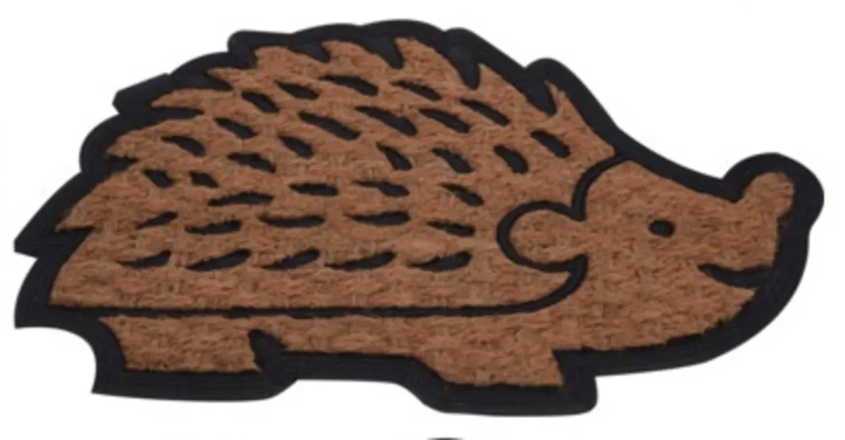 Covoras de intrare 40x60cm Hedgehog