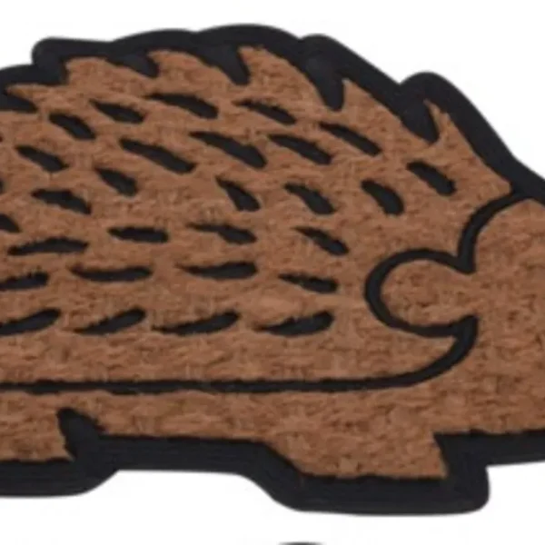 Covoras de intrare 40x60cm Hedgehog