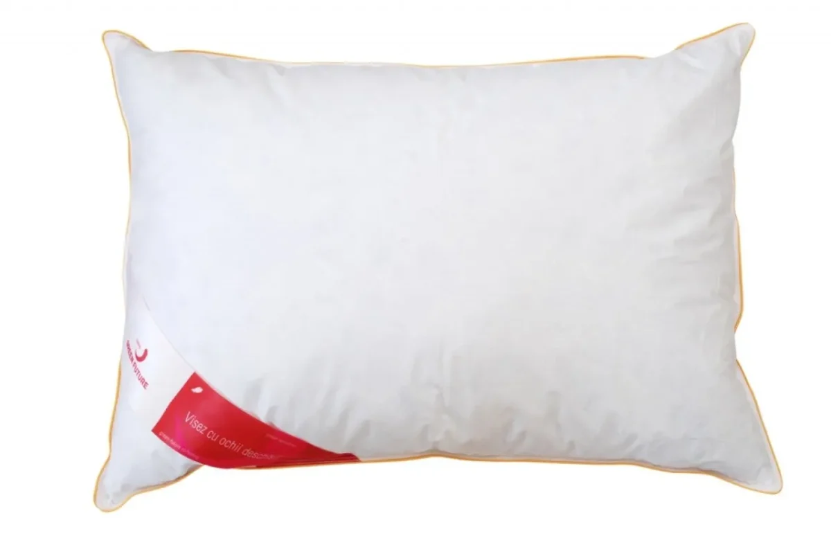 Pernă Puf si pană de gâscă Feeling 50 70x70cm