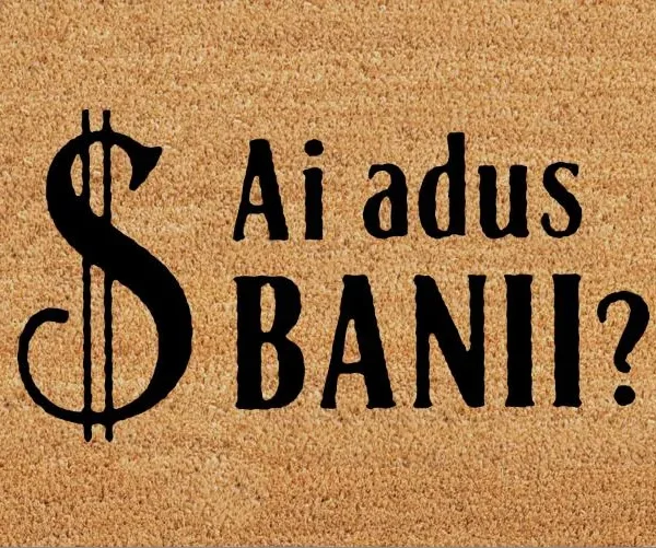 COVORAS INTRARE MONEY 40X60cm