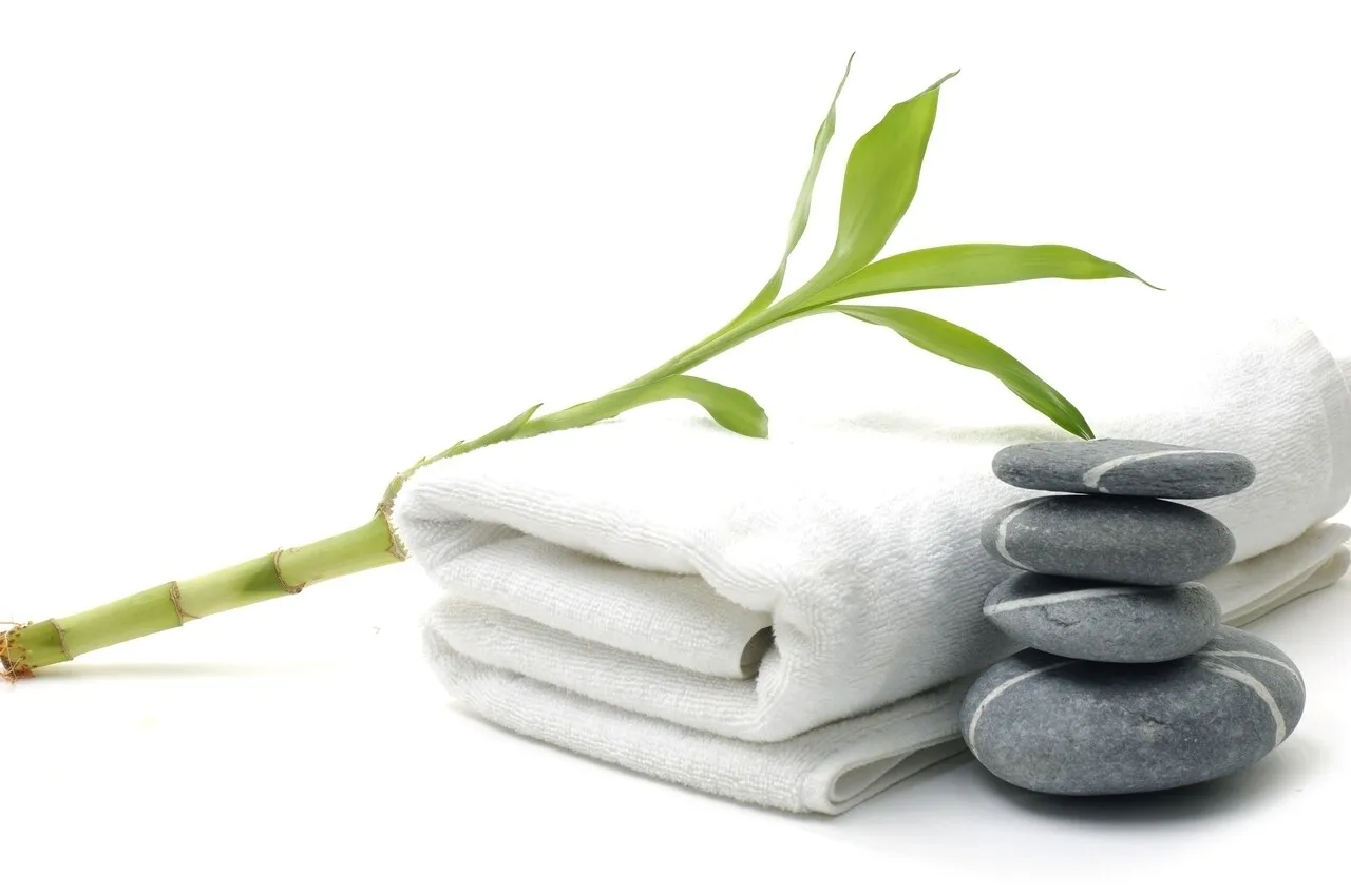 Prosop Hotelier SPA 100x200 cm Prosop Hotelier SPA 100x200 cm