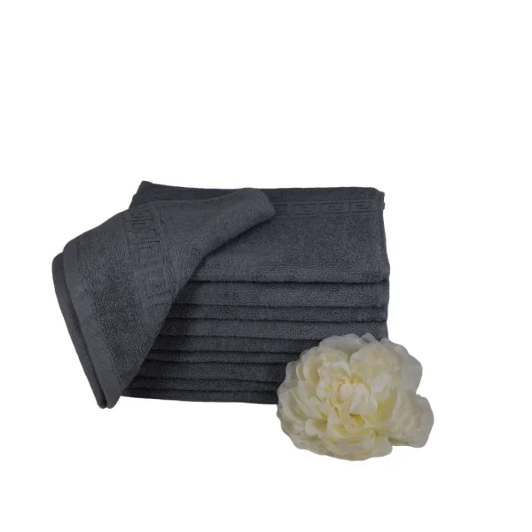 Set 10 Prosoape Bumbac Pieptanat, 30×50cm, 500gr/mp, Greek Border - Gri